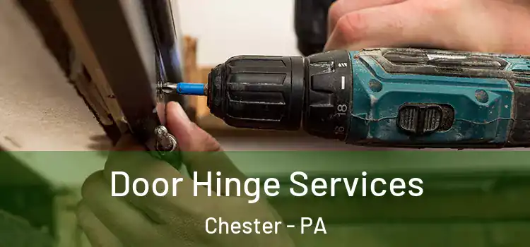  Door Hinge Services Chester - PA