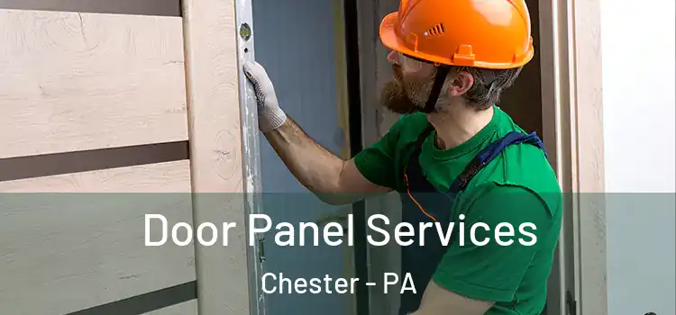  Door Panel Services Chester - PA