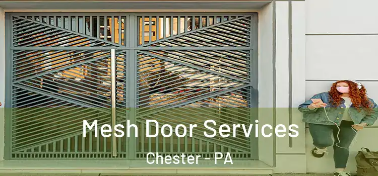 Mesh Door Services Chester - PA