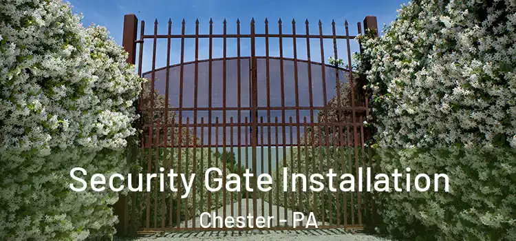  Security Gate Installation Chester - PA