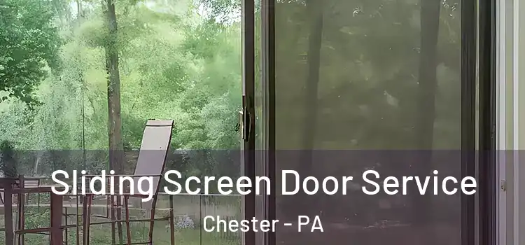 Sliding Screen Door Service Chester - PA